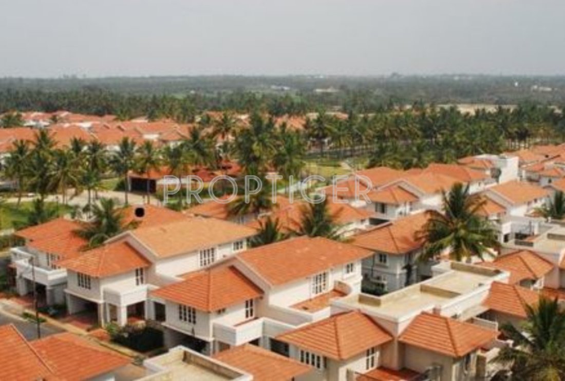  ozone Images for Elevation of Prestige Ozone