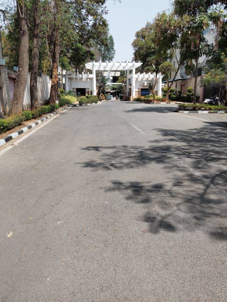  ozone Internal Roads & Footpaths