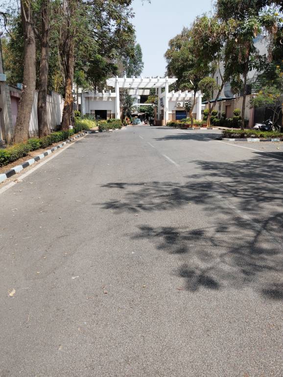  ozone Internal Roads & Footpaths