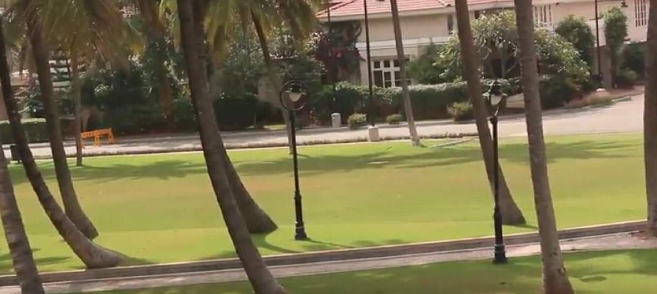  ozone Landscape Garden and Tree Planting