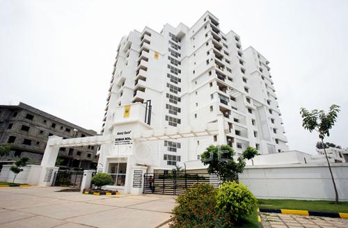  rose Images for Elevation of Sobha Rose