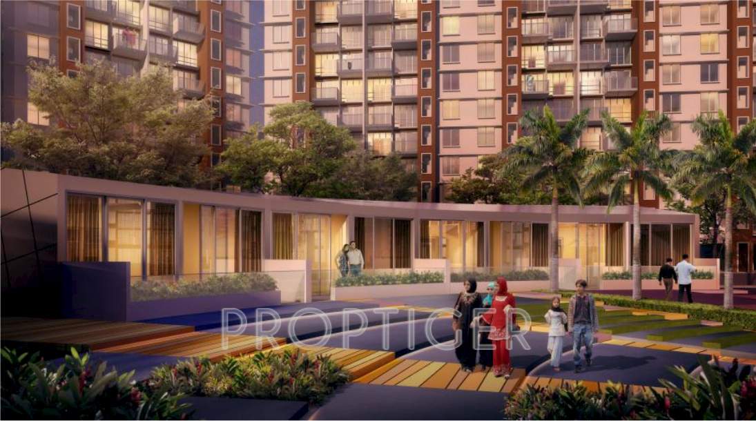  astonia royale Images for Elevation of Amit Astonia Royale