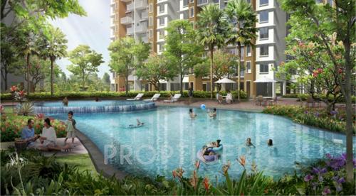  astonia-royale Images for Elevation of Amit Astonia Royale