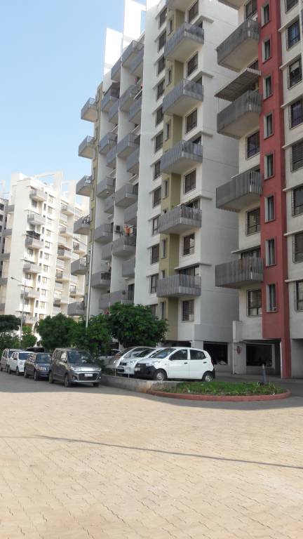  astonia royale Images for Project