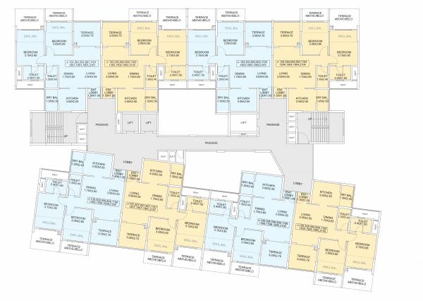  bloomfield-apartment Angelfish Cluster Plan