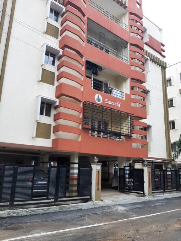  dsr emerald Elevation