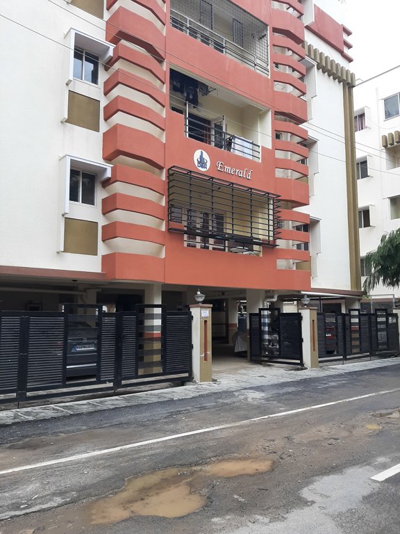  dsr emerald Elevation