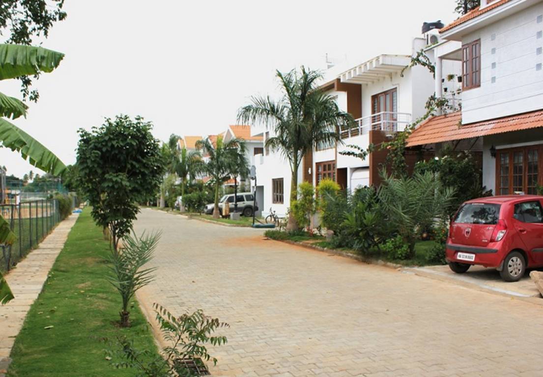 Images for Elevation of CoEvolve Enclave