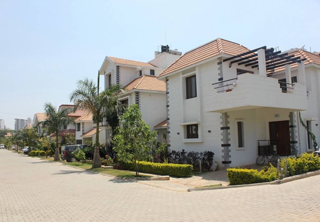 Images for Elevation of CoEvolve Enclave