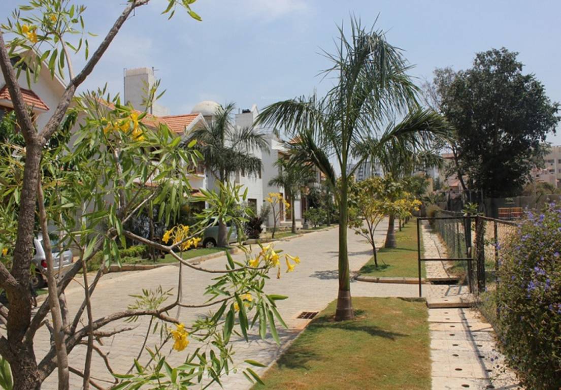 Images for Elevation of CoEvolve Enclave