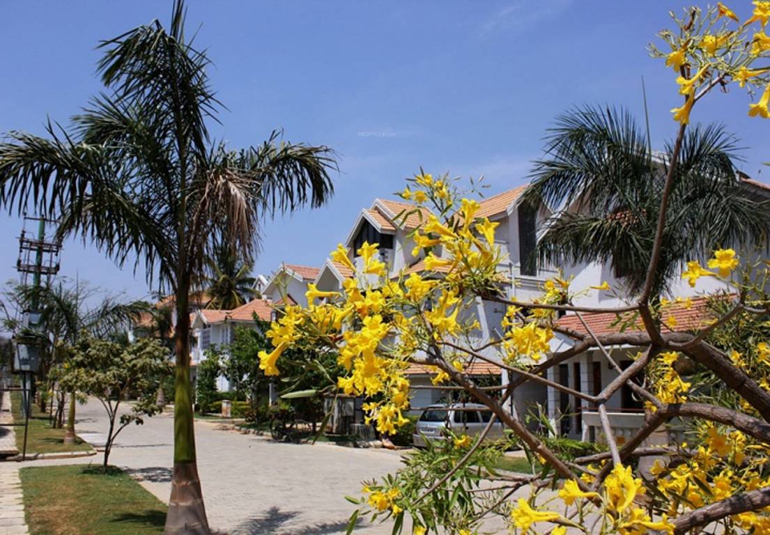 Images for Elevation of CoEvolve Enclave