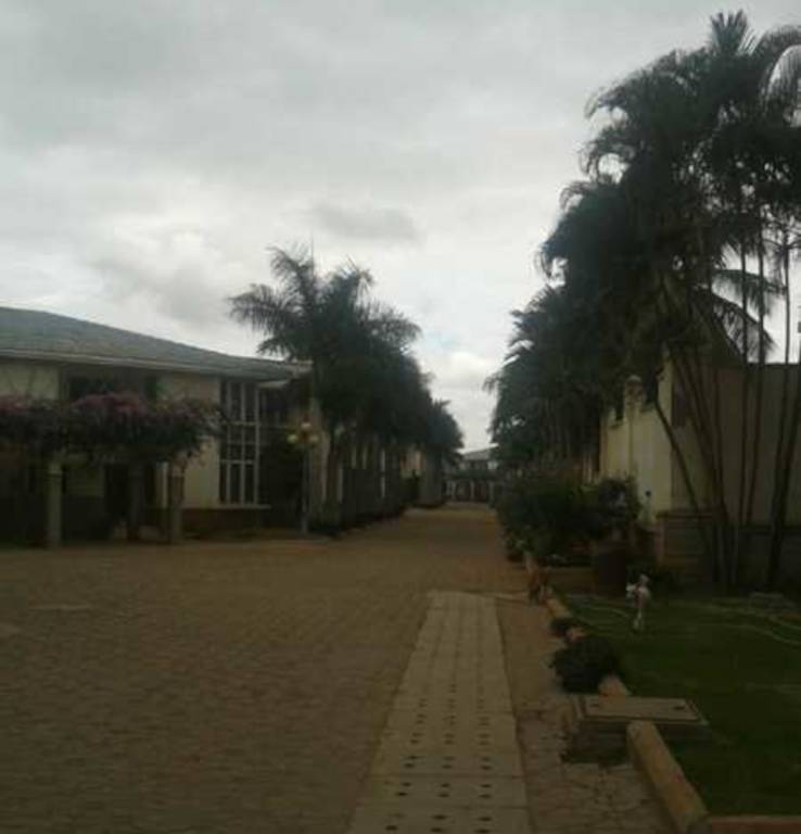  bougainvilla Elevation