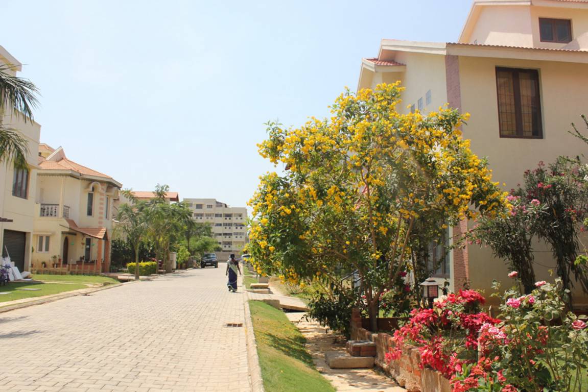 Images for Elevation of CoEvolve Gardenia