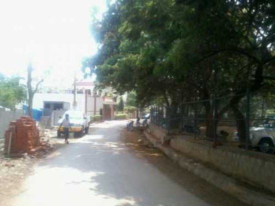  eastlynne Internal Roads