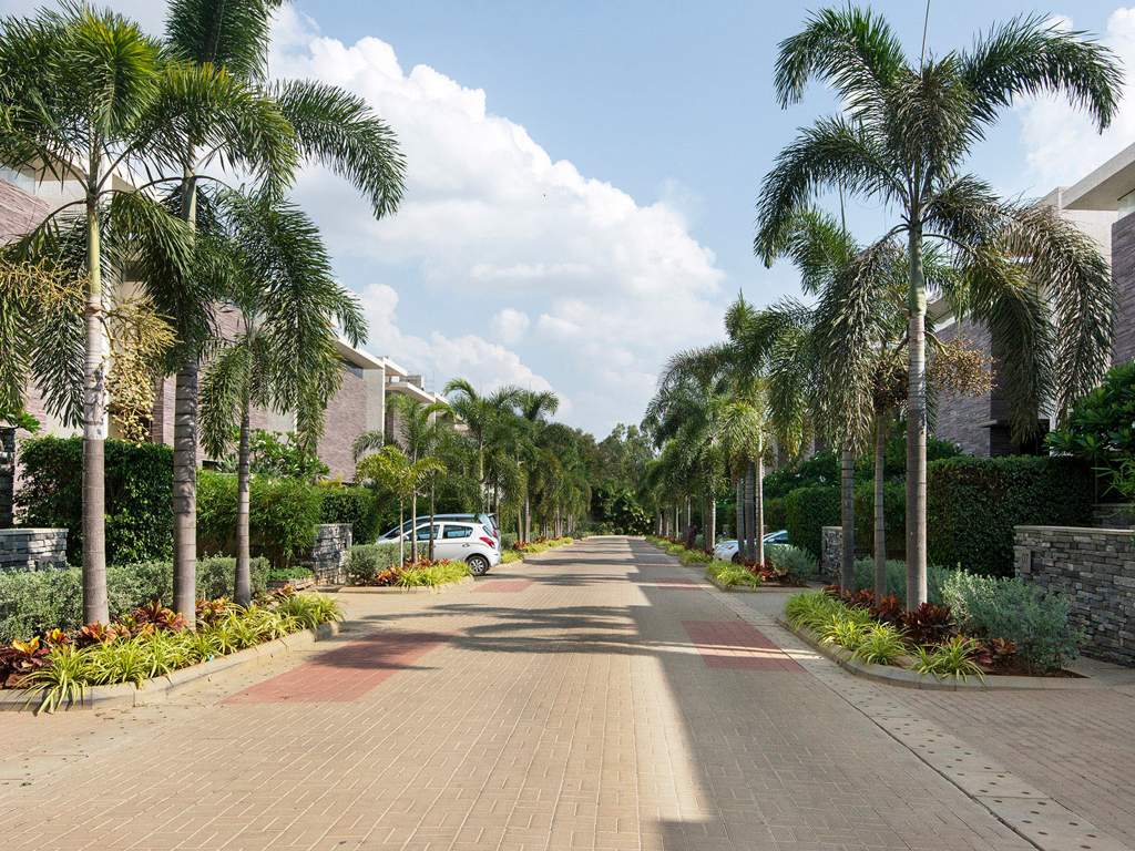  oakville Images for Elevation of Chaithanya Oakville