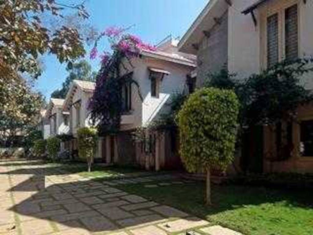  bloomingdale Elevation