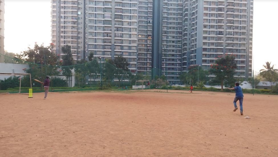 south city Cricket Pitch