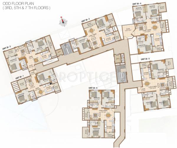  raga Block Cedar Odd Floor Cluster Plan