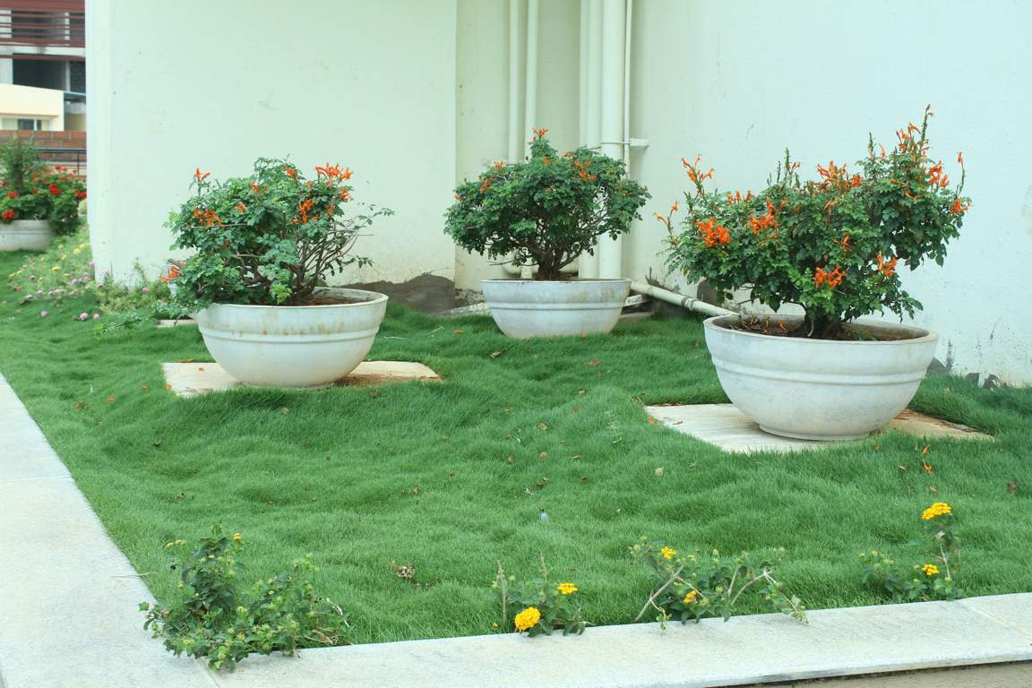  raga Images for Amenities of Nester Raga