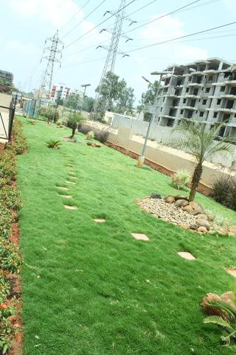  raga Images for Amenities of Nester Raga