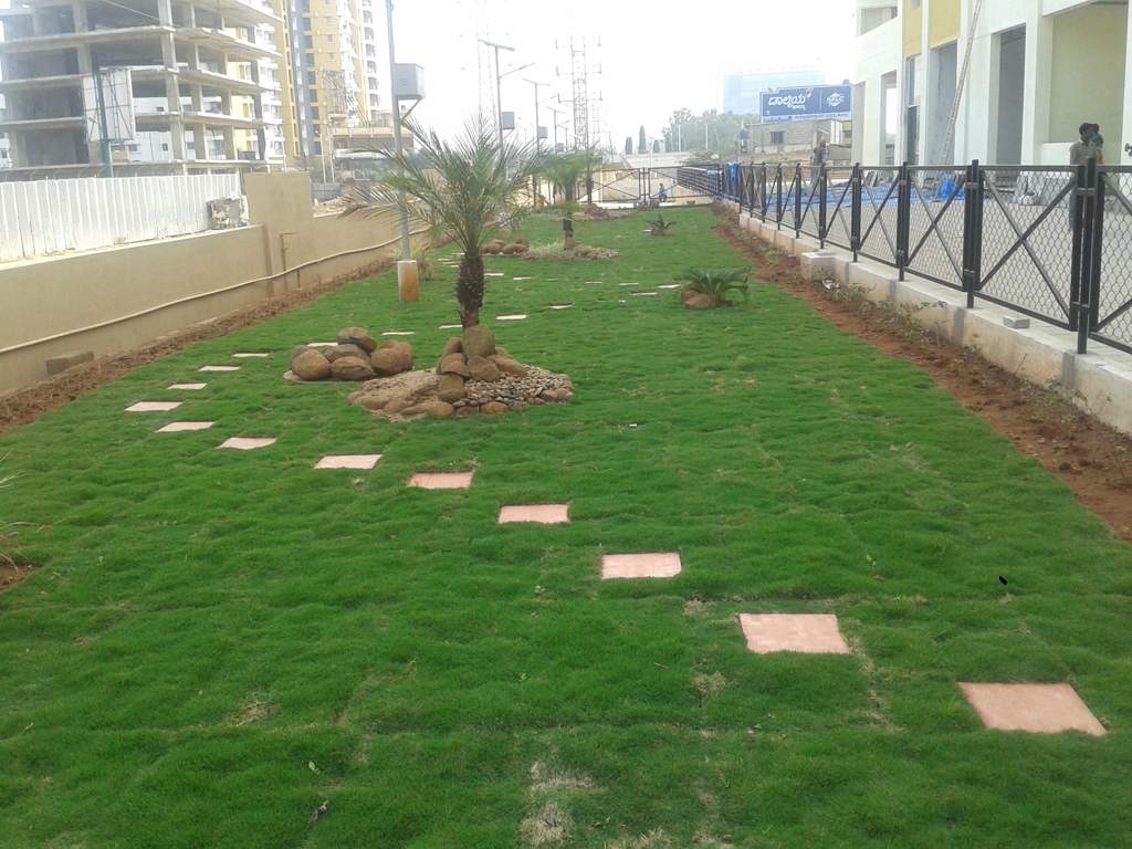  raga Images for Amenities of Nester Raga