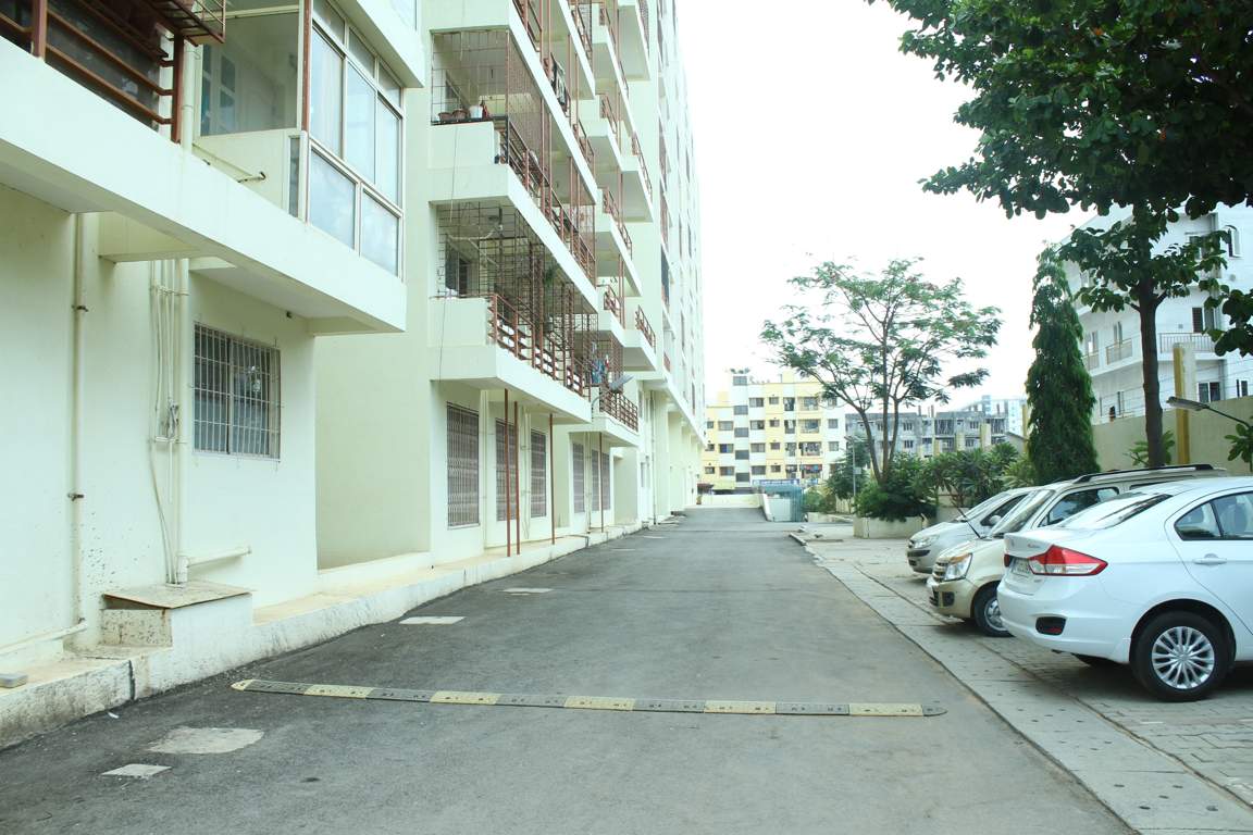  raga Images for Amenities of Nester Raga