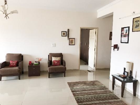 Images for mainOther