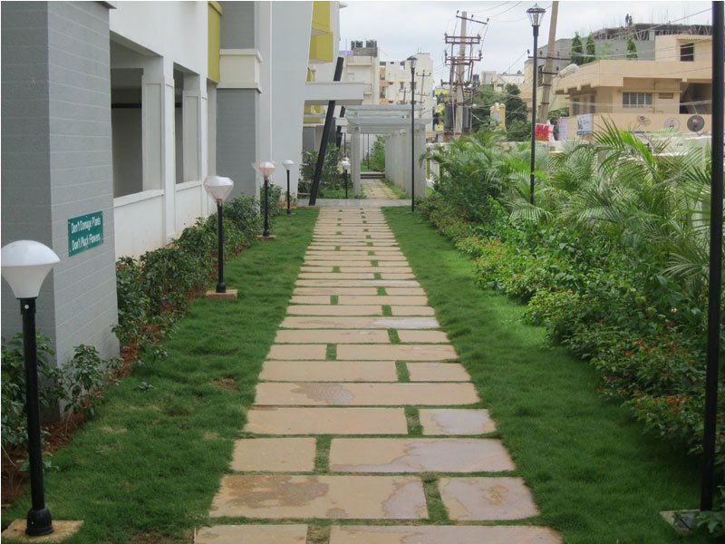 nagarjuna serene Others