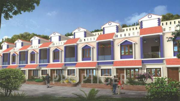 aashish rajni-ashish-rose Elevation