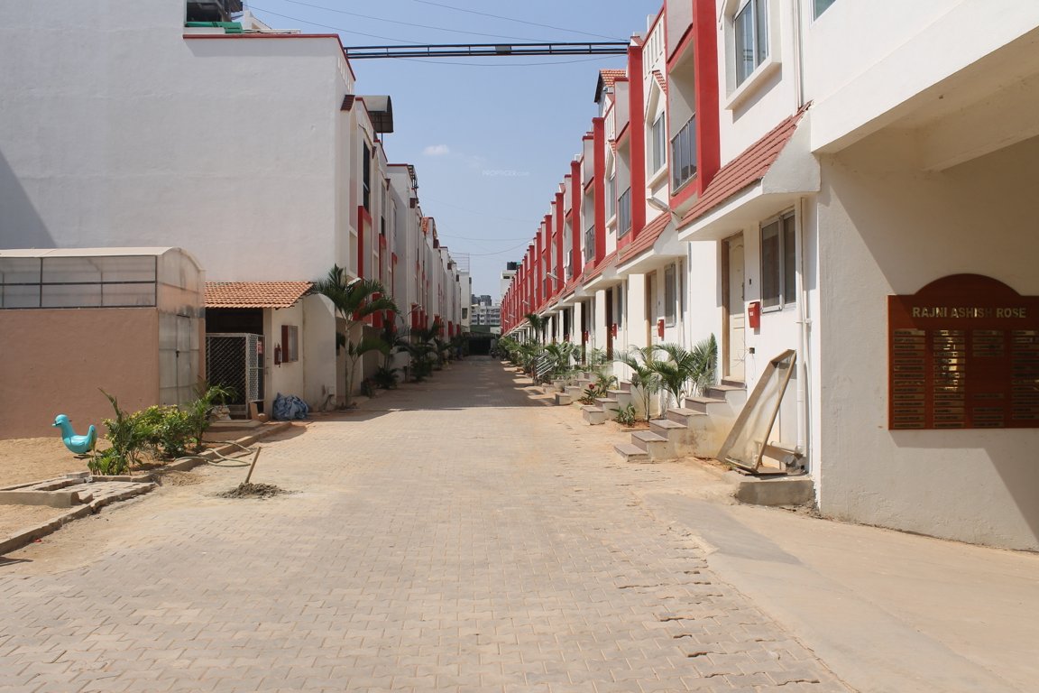 aashish rajni ashish rose Elevation