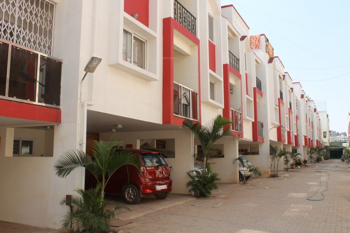 aashish rajni ashish rose Elevation