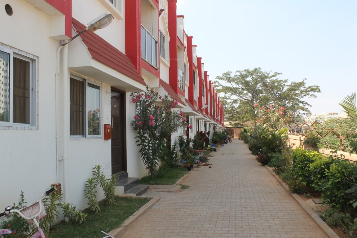 aashish rajni ashish rose Elevation