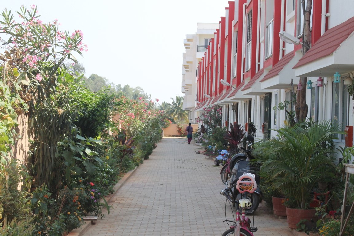 aashish rajni ashish rose Elevation