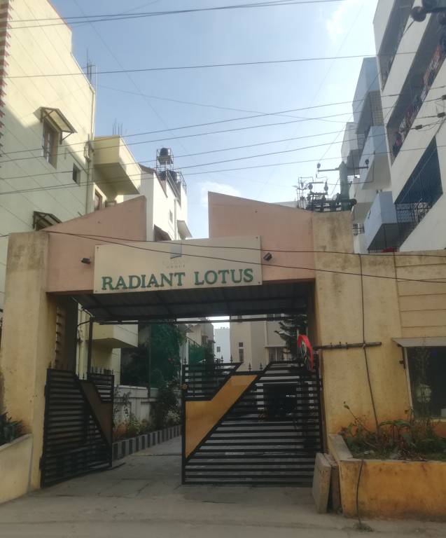 lotus Images for Project