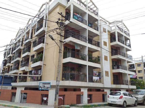  pelican Images for Project