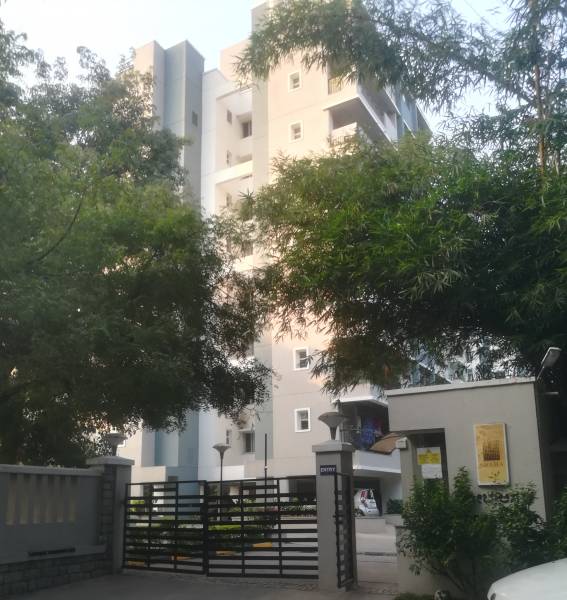  aster Images for Project