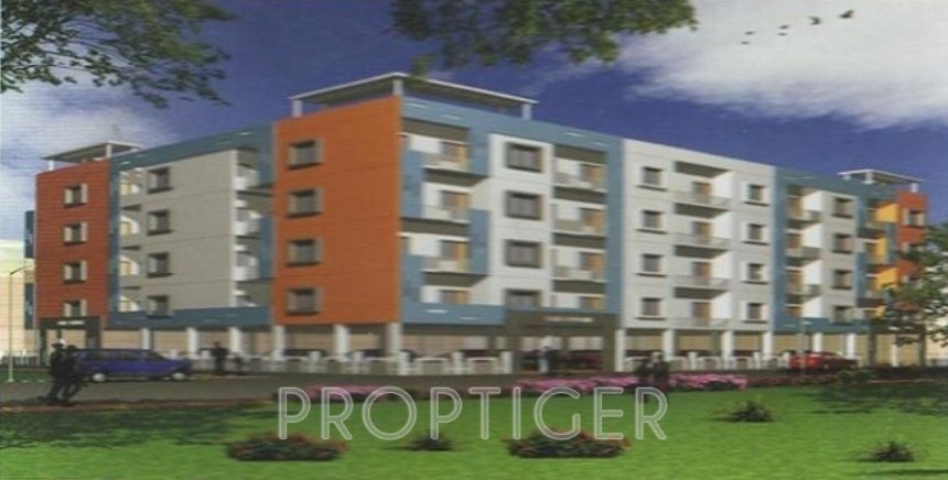 Images for Elevation of Elite Epitome