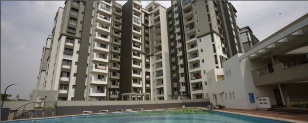 Images for Project daffodil Images for Project