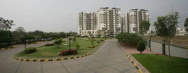 Images for Project daffodil Images for Project