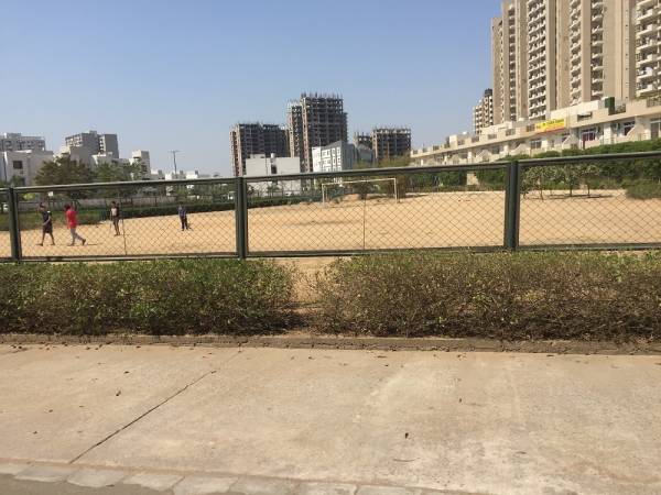  primrose-floors Others