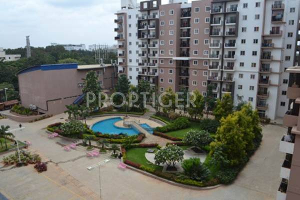 Images for Elevation of Bren Equinox Images for Elevation of Bren Equinox