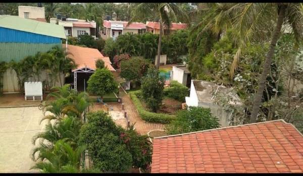  divya-jyothi-coconut-grove Others