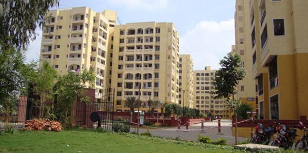 Elevation gardenia Elevation