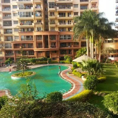 tambourine Swimming Pool