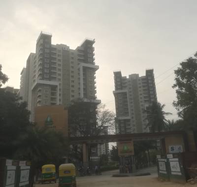  sattva-greenage Images for Project