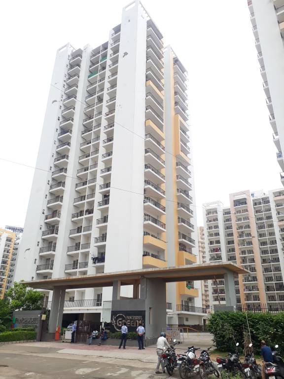 greens Images for Project