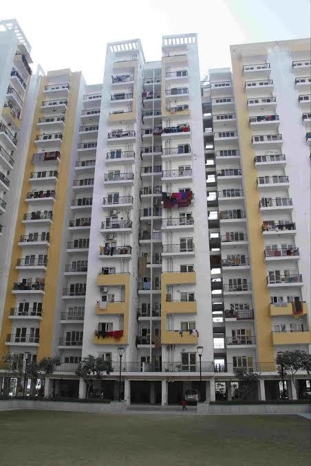 greens Images for Project