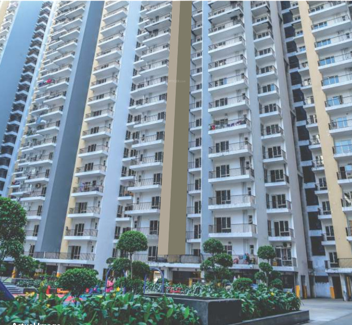 greens Images for Project