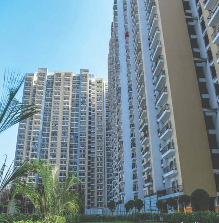 greens Images for Project