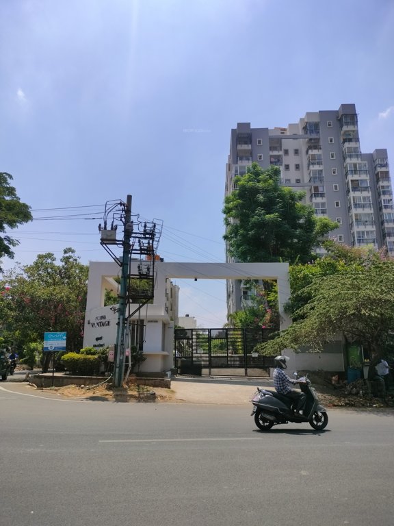  purva vantage Elevation